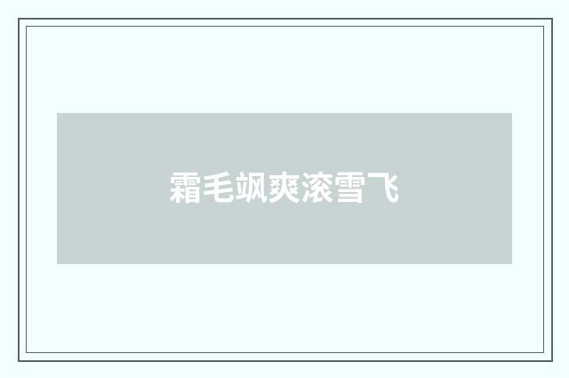霜毛飒爽滚雪飞