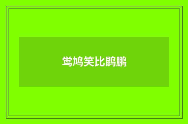 鸴鸠笑比鹍鹏