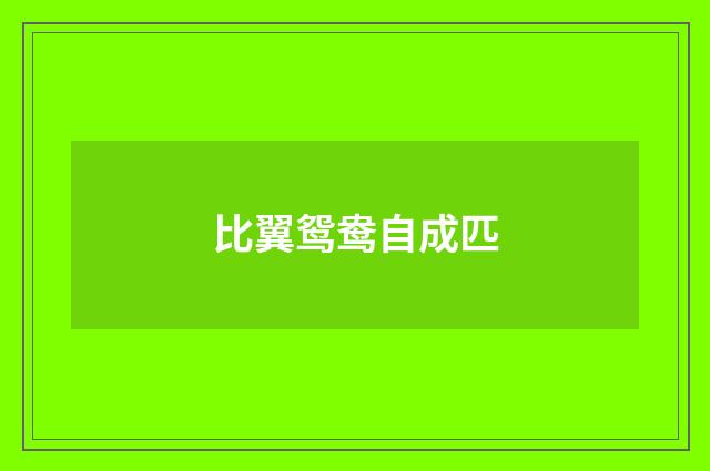 比翼鸳鸯自成匹