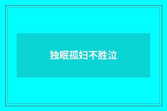 独眠孤妇不胜泣