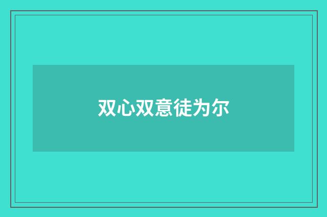 双心双意徒为尔