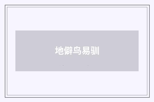 地僻鸟易驯