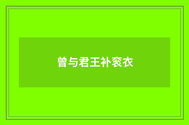 曾与君王补衮衣