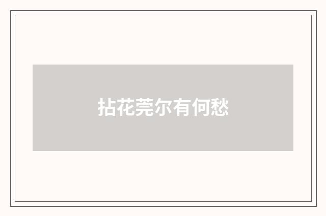 拈花莞尔有何愁