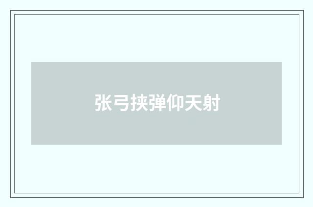 张弓挟弹仰天射