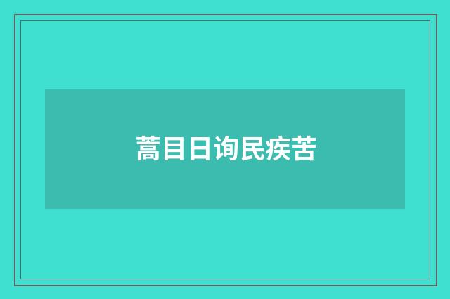 蒿目日询民疾苦