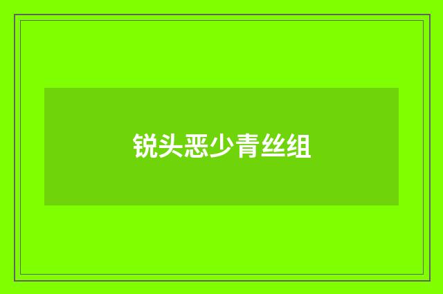锐头恶少青丝组