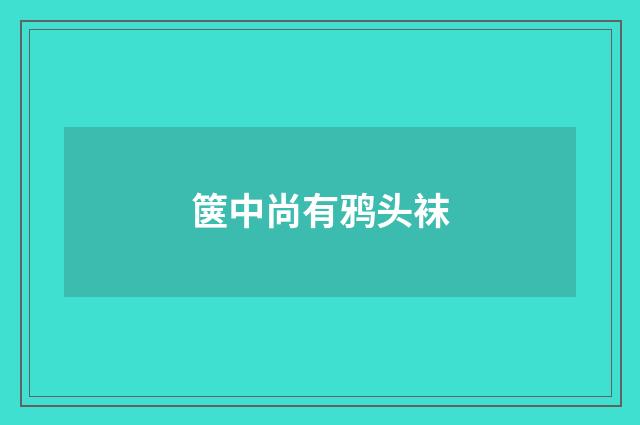 箧中尚有鸦头袜