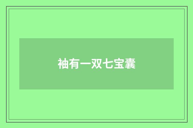 袖有一双七宝囊