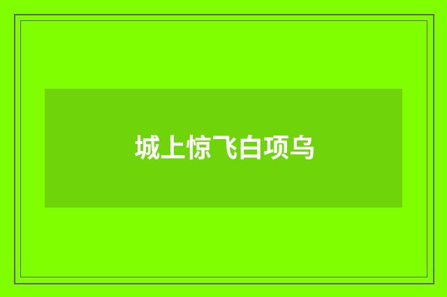城上惊飞白项乌