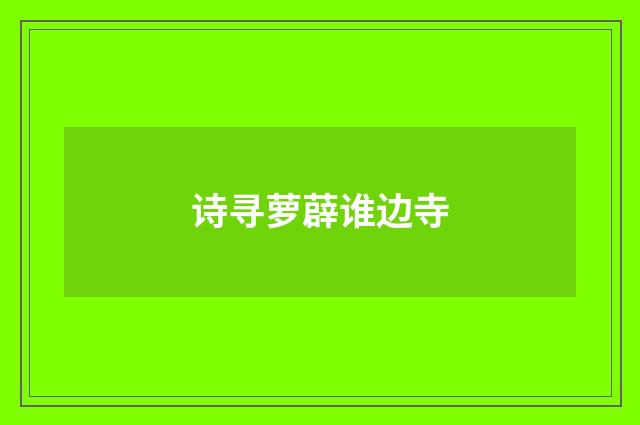 诗寻萝薜谁边寺
