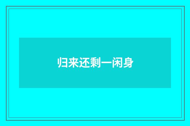 归来还剩一闲身