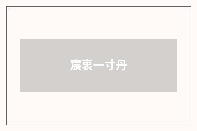 宸衷一寸丹