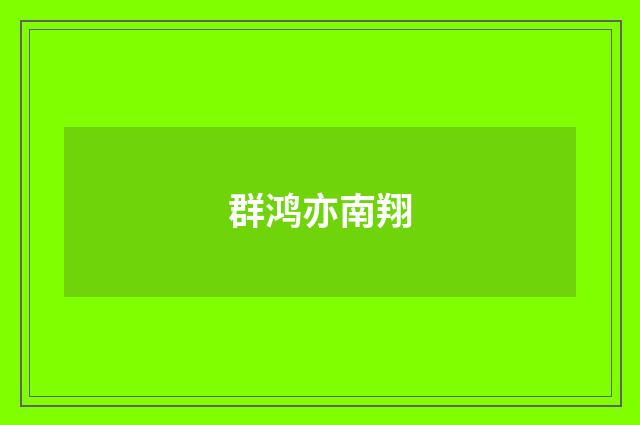 群鸿亦南翔