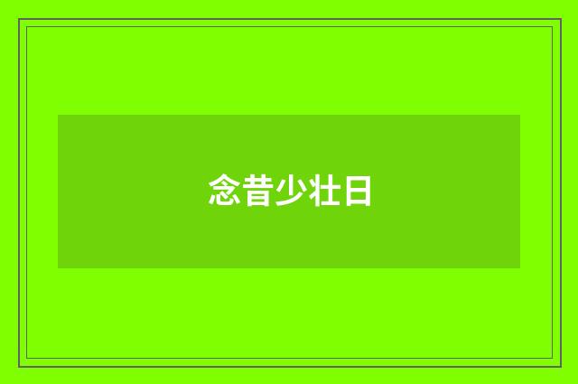 念昔少壮日