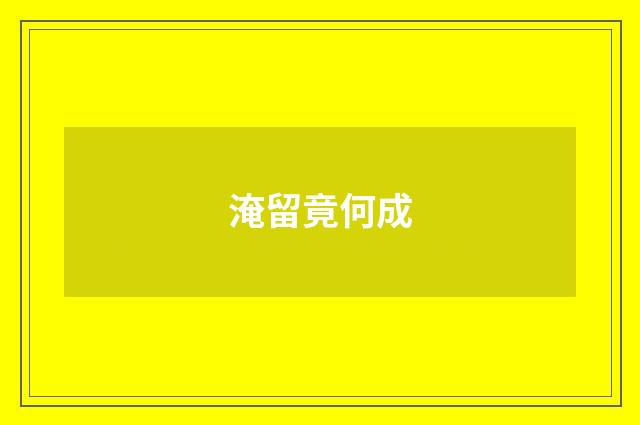 淹留竟何成