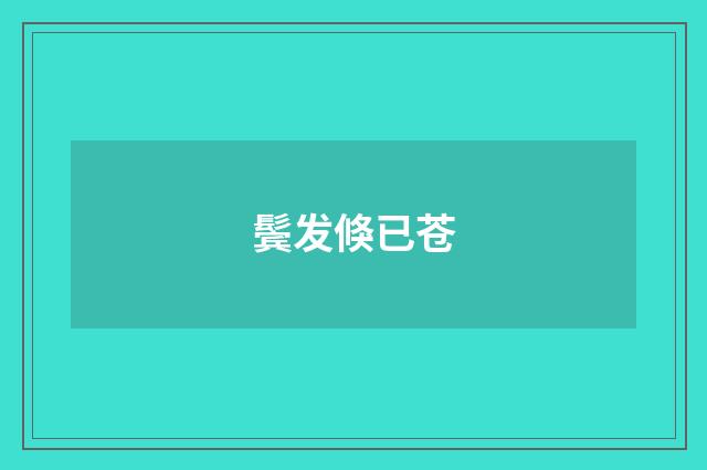 鬓发倏已苍