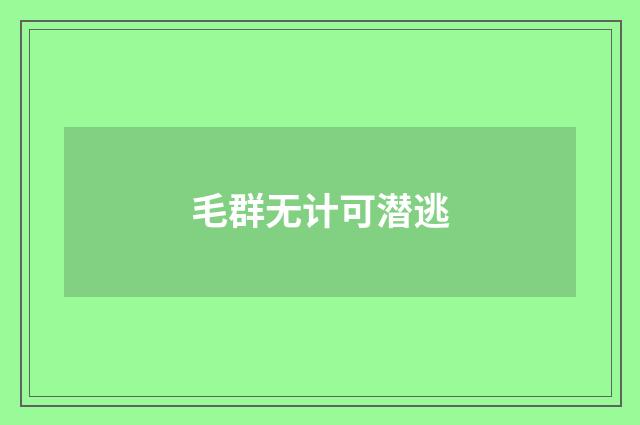 毛群无计可潜逃