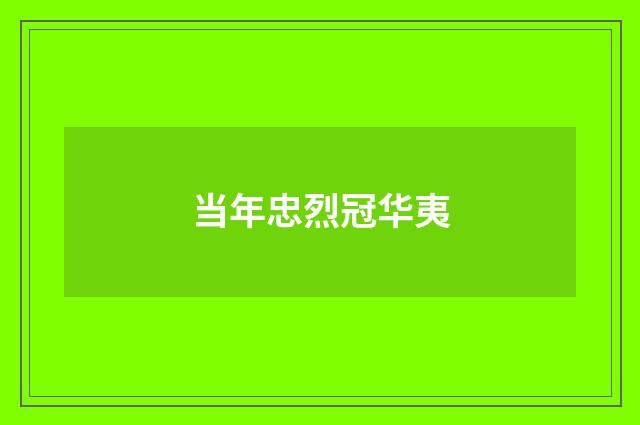 当年忠烈冠华夷