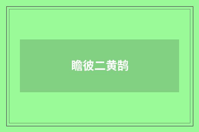 瞻彼二黄鹄