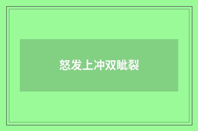 怒发上冲双眦裂