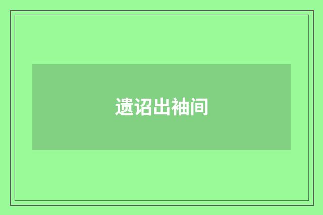 遗诏出袖间