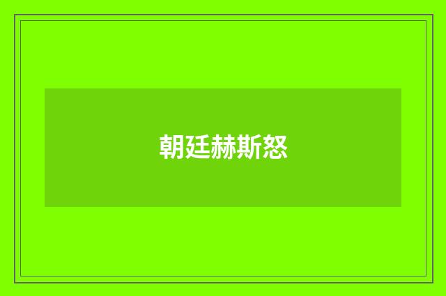 朝廷赫斯怒