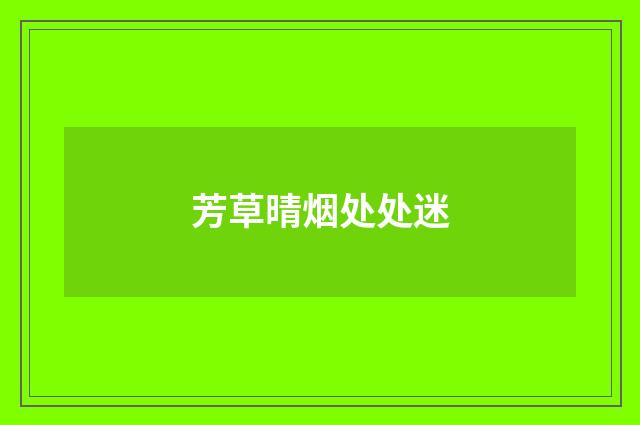 芳草晴烟处处迷