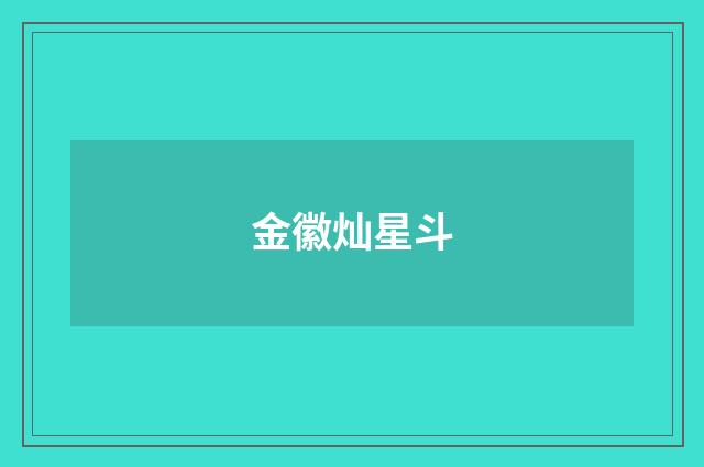 金徽灿星斗
