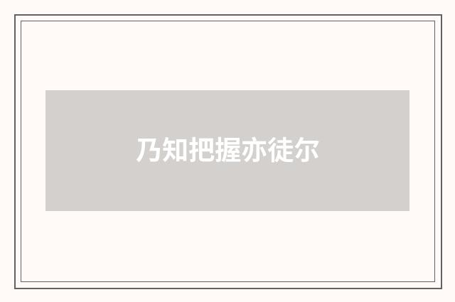 乃知把握亦徒尔