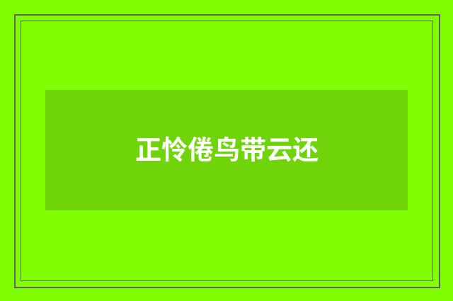 正怜倦鸟带云还