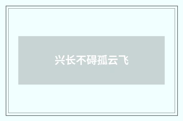兴长不碍孤云飞