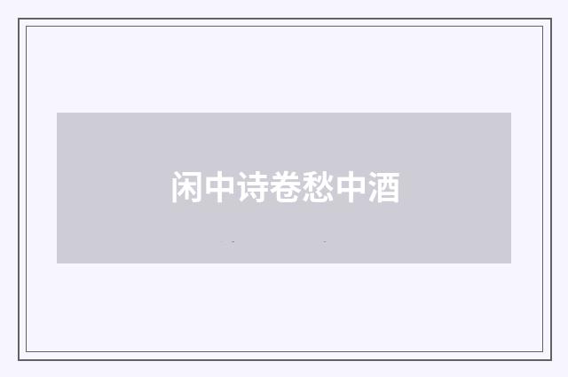 闲中诗卷愁中酒
