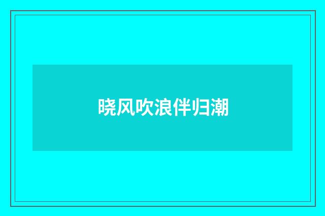 晓风吹浪伴归潮