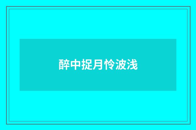 醉中捉月怜波浅