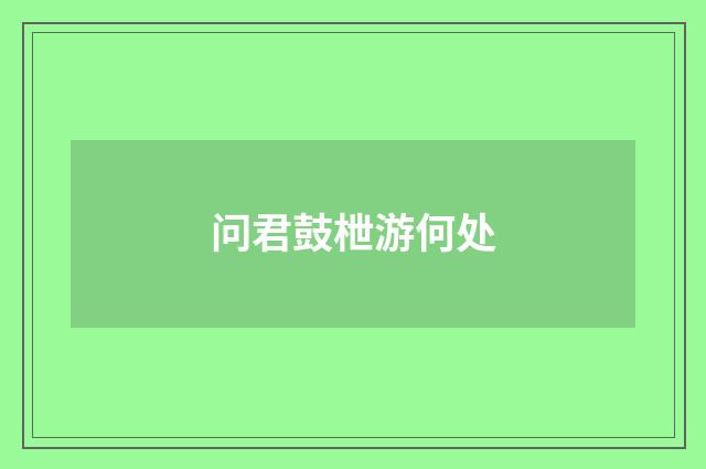 问君鼓枻游何处