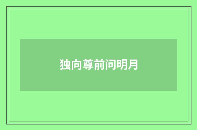 独向尊前问明月