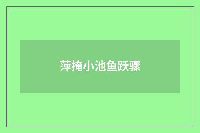 萍掩小池鱼跃骤
