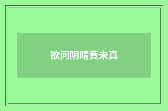 欲问阴晴竟未真