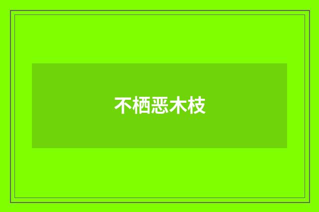 不栖恶木枝