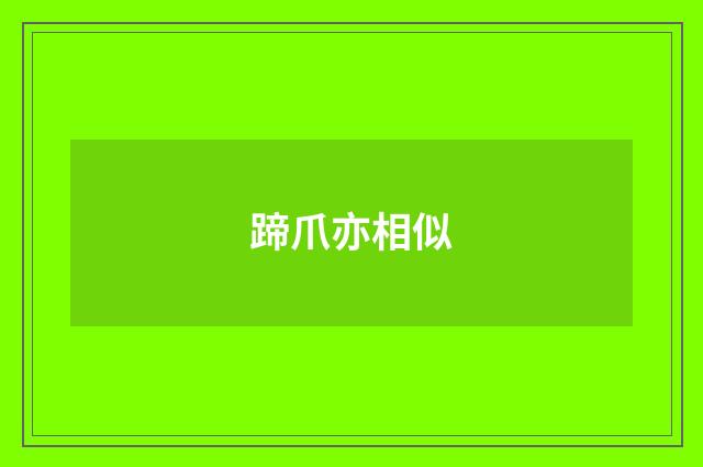蹄爪亦相似