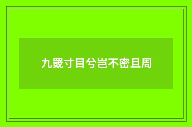 九罭寸目兮岂不密且周