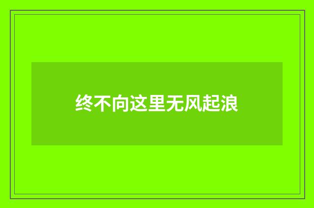终不向这里无风起浪