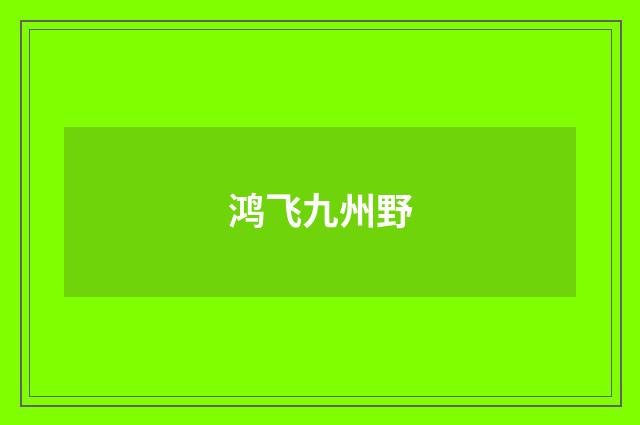 鸿飞九州野
