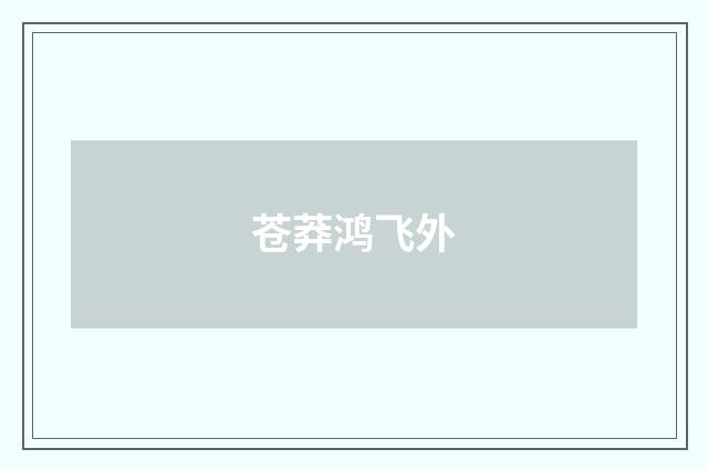 苍莽鸿飞外
