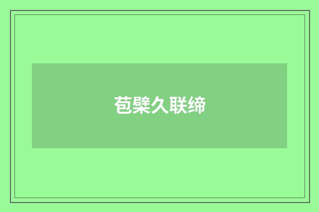 苞檗久联缔