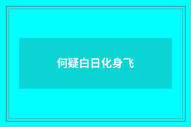 何疑白日化身飞
