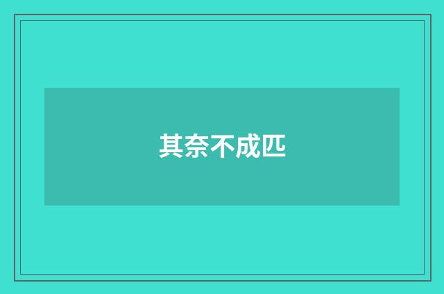 其奈不成匹
