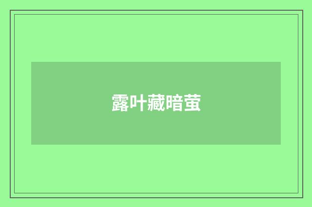 露叶藏暗萤