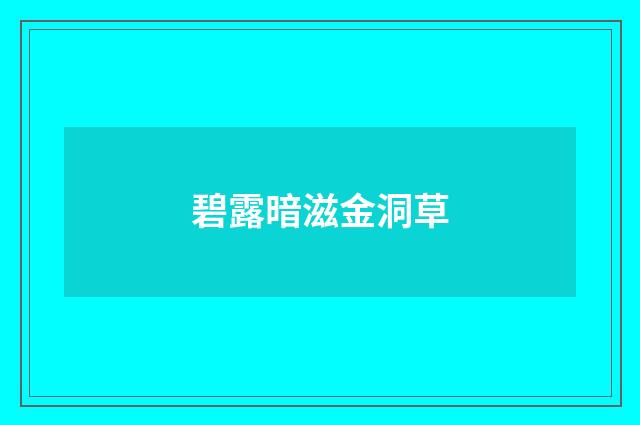 碧露暗滋金洞草